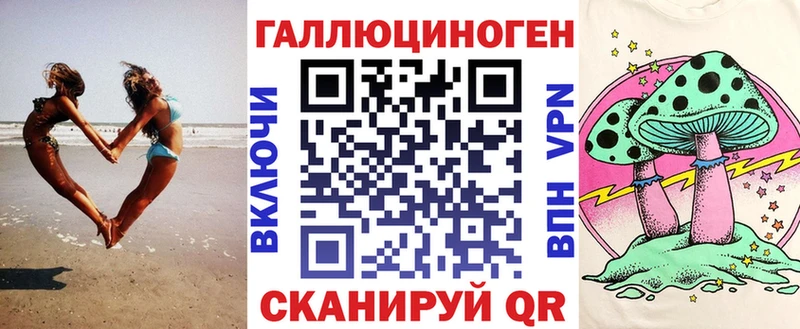 блэк спрут ссылка Ревда Псилоцибиновые грибы Cubensis