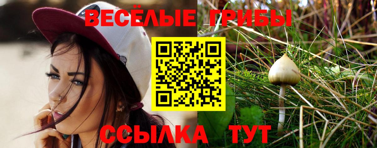 Псилоцибиновые грибы Psilocybine cubensis Ревда