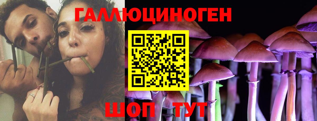 Псилоцибиновые грибы Psilocybe  Псилоцибиновые грибы прущие грибы  Вход с VPN  Ревда 